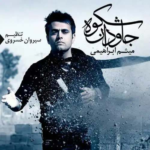 کاور آهنگ میثم ابراهیمی شکوه جاودان