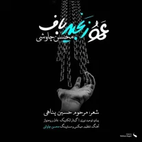 کاور آهنگ محسن چاوشی عمو زنجیر باف