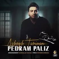 کاور آهنگ پدرام پالیز عاشق ترینم