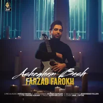 کاور آهنگ فرزاد فرخ عاشقم باش