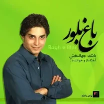 کاور آلبوم بابک جهانبخش باغ بلور