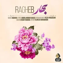 کاور آهنگ راغب بهار