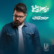 کاور آلبوم حامد همایون برزخ عاشقی