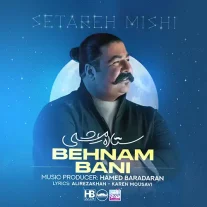 کاور آهنگ بهنام بانی ستاره میشی