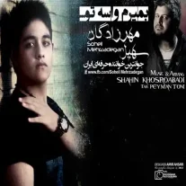 کاور آهنگ سهیل مهرزادگان بمیرم واسه تو