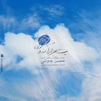 کاور آهنگ محسن چاوشی بیست هزار آرزو
