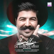کاور آهنگ بهنام بانی چه بخوای چه نخوای