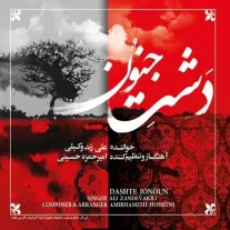کاور آلبوم علی زند وکیلی دشت جنون