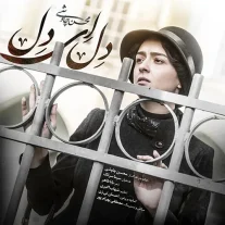 کاور آهنگ محسن چاوشی و سینا سرلک دل ای دل