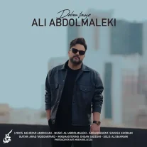 کاور آهنگ علی عبدالمالکی دلم تنگه
