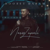 کاور آهنگ ناصر زینعلی دوست دارم