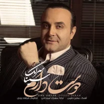 کاور آهنگ سینا سرلک دوست دارم