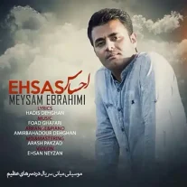 کاور آهنگ میثم ابراهیمی احساس