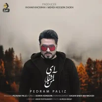 کاور آهنگ پدرام پالیز ای آشنای من