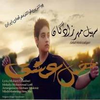 کاور آهنگ سهیل مهرزادگان فصل عشق