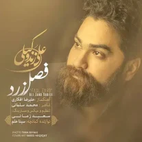 کاور آهنگ علی زند وکیلی فصل زرد