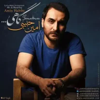 کاور آهنگ امین حبیبی گاهی