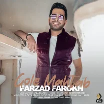 کاور آهنگ فرزاد فرخ گل مهتاب