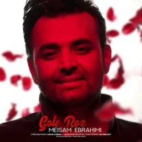 کاور آهنگ میثم ابراهیمی گل رز