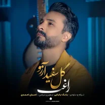 کاور آهنگ راغب گل سفید آرزو
