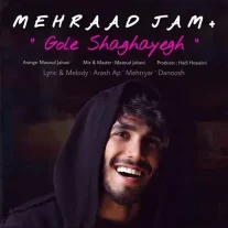 کاور آهنگ مهراد جم گل شقایق
