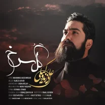 کاور آهنگ علی زند وکیلی گل سرخ