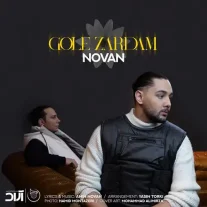 کاور آهنگ نوان گل زردم