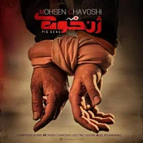 کاور آهنگ محسن چاوشی حلالم کن
