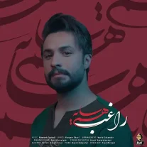 کاور آهنگ راغب هم سایه