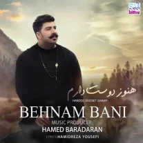 کاور آهنگ بهنام بانی هنوز دوست دارم