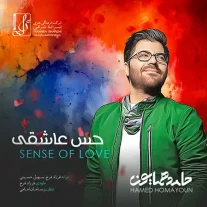 کاور آهنگ حامد همایون حس عاشقی