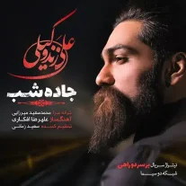 کاور آهنگ علی زند وکیلی جاده شب