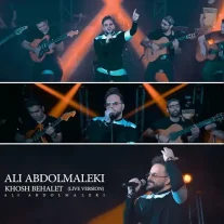اجرای زنده آهنگ علی عبدالمالکی خوش به حالت