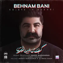 کاور آهنگ بهنام بانی کجای این شهری