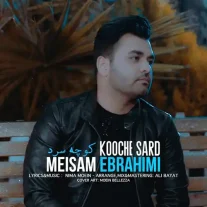 کاور آهنگ میثم ابراهیمی کوچه سرد