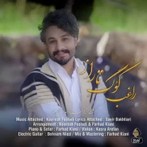 کاور آهنگ راغب کوگ تاراز