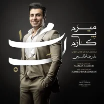 کاور آهنگ علیرضا طلیسچی میرم پی کارم