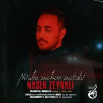 کاور آهنگ ناصر زینعلی میشه بهم بتابی