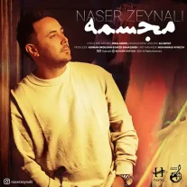 کاور آهنگ ناصر زینعلی مجسمه