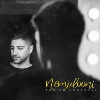 کاور آهنگ زانیار خسروی نمیدونی