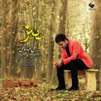 کاور آهنگ علی عبدالمالکی پاییز