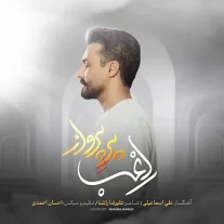 کاور آهنگ راغب پر پرواز
