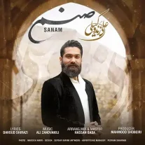 کاور آهنگ علی زند وکیلی صنم