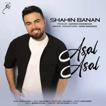 کاور آهنگ شاهین بنان عسل عسل