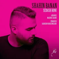 کاور آهنگ شاهین بنان صداش کنی