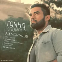 کاور آهنگ علی منتظری تنها موندم