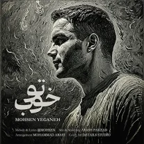 کاور آهنگ محسن یگانه تو خوب