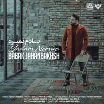 کاور آهنگ بابک جهانبخش یادم‌ نمیره