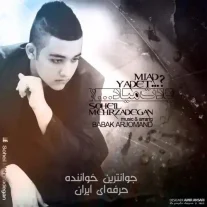 کاور آهنگ سهیل مهرزادگان یادت میاد