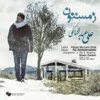 کاور آهنگ علی عبدالمالکی زمستون